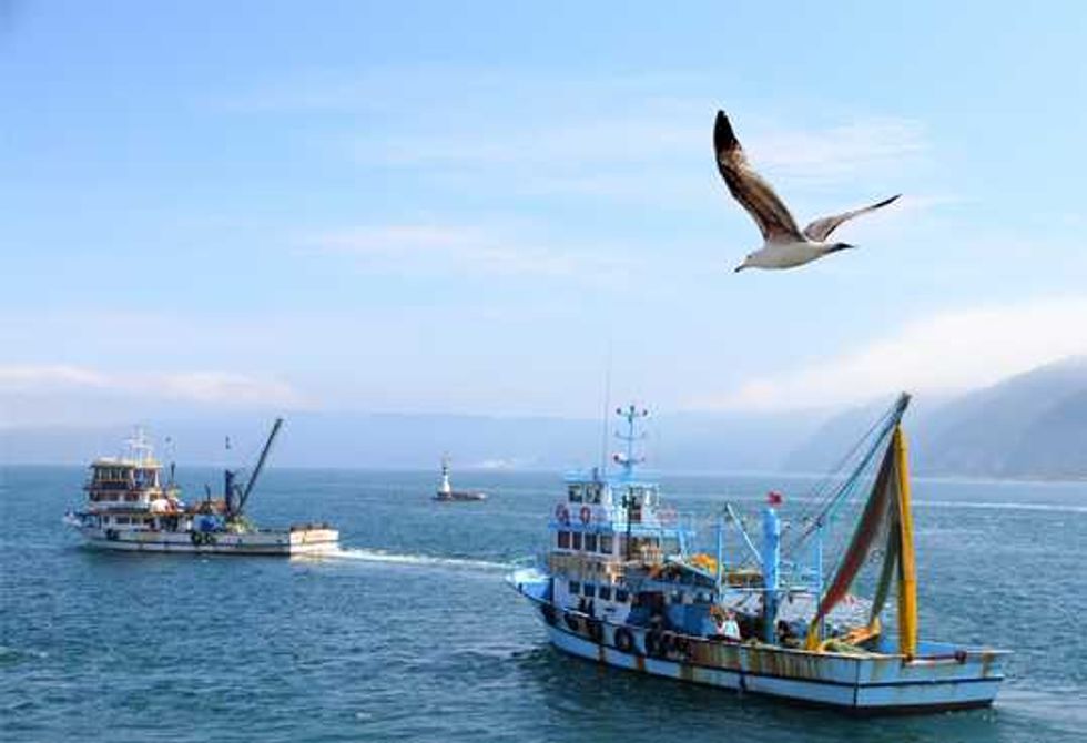 201403201526391.TAIWAN PESCA