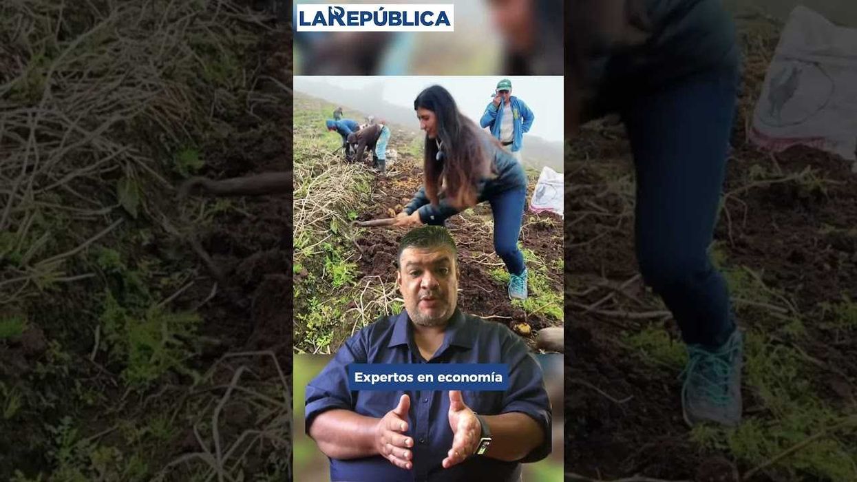 cada vez hay menos n