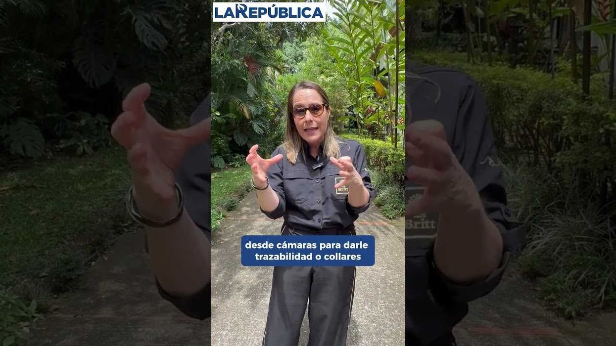 Café Britt presentó su Reporte de Sostenibilidad 2025