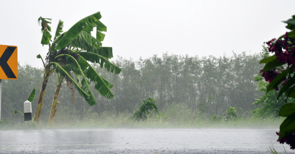 Domingo estará marcado por lluvias, tormentas eléctricas y fuertes ráfagas de viento