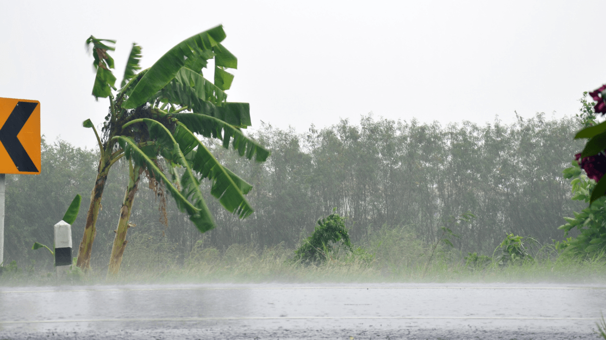 Domingo estará marcado por lluvias, tormentas eléctricas y fuertes ráfagas de viento