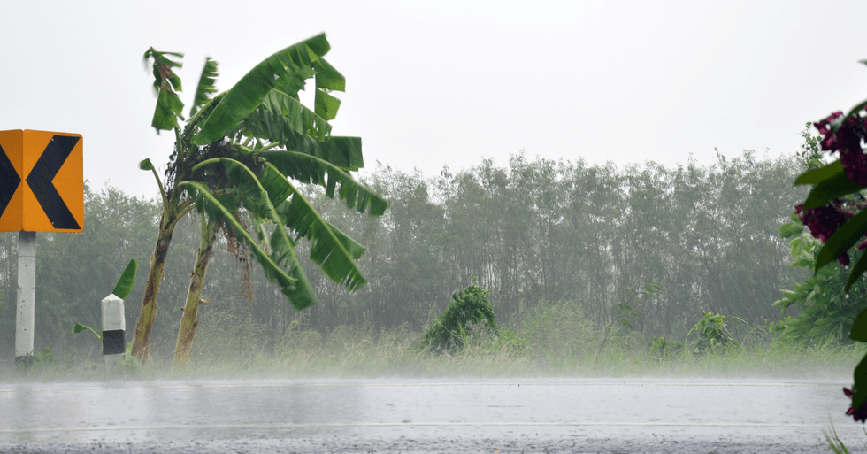 Domingo estará marcado por lluvias, tormentas eléctricas y fuertes ráfagas de viento