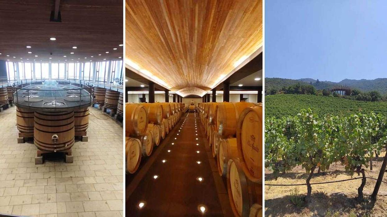 Clos du Lican, el vino nacido entre montañas y granito, está disponible en Bonvivante