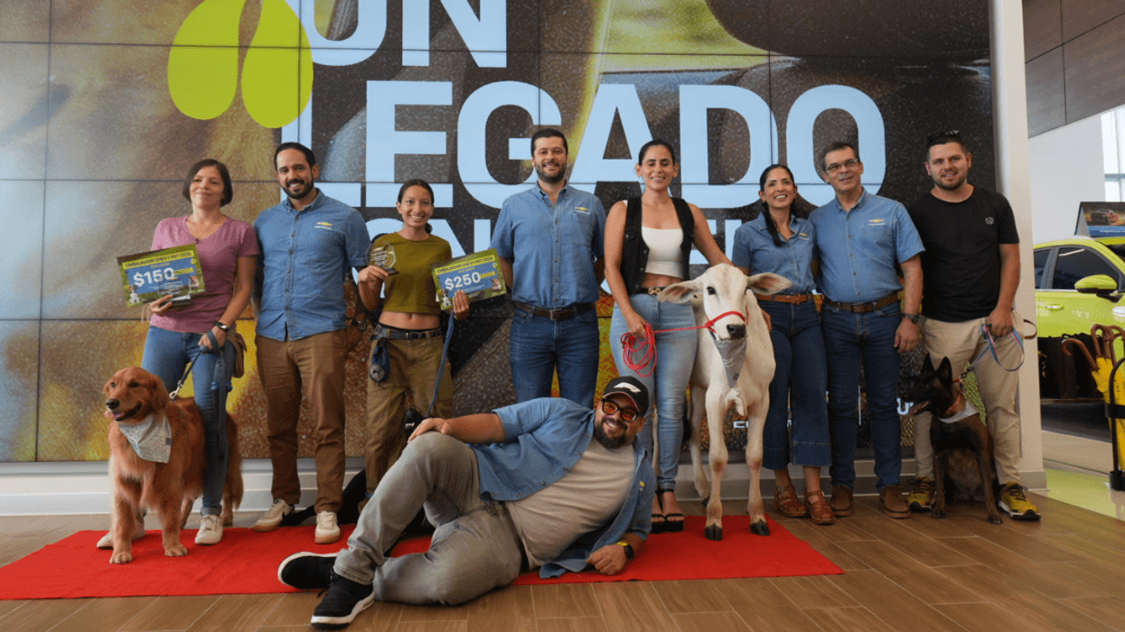 Un ternero y dos perros se convirtieron en los primeros embajadores Chevy Pet 2026