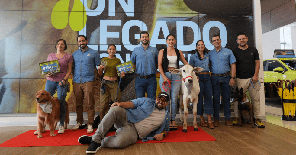 Un ternero y dos perros se convirtieron en los primeros embajadores Chevy Pet 2026