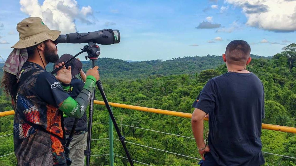 Sarapiquí invita a observar aves migratorias y correr entre naturaleza este fin de semana
