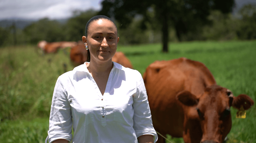 Emprendedora costarricense crea producto para inhibir el crecimiento de cuernos en terneros