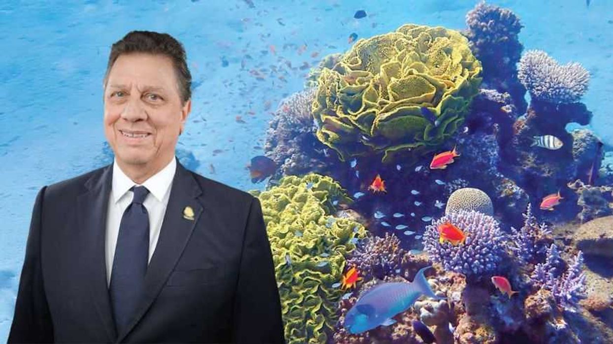 Agenda de Costa Rica en la COP16: Avances en conservación y negociación de fondos para la biodiversidad