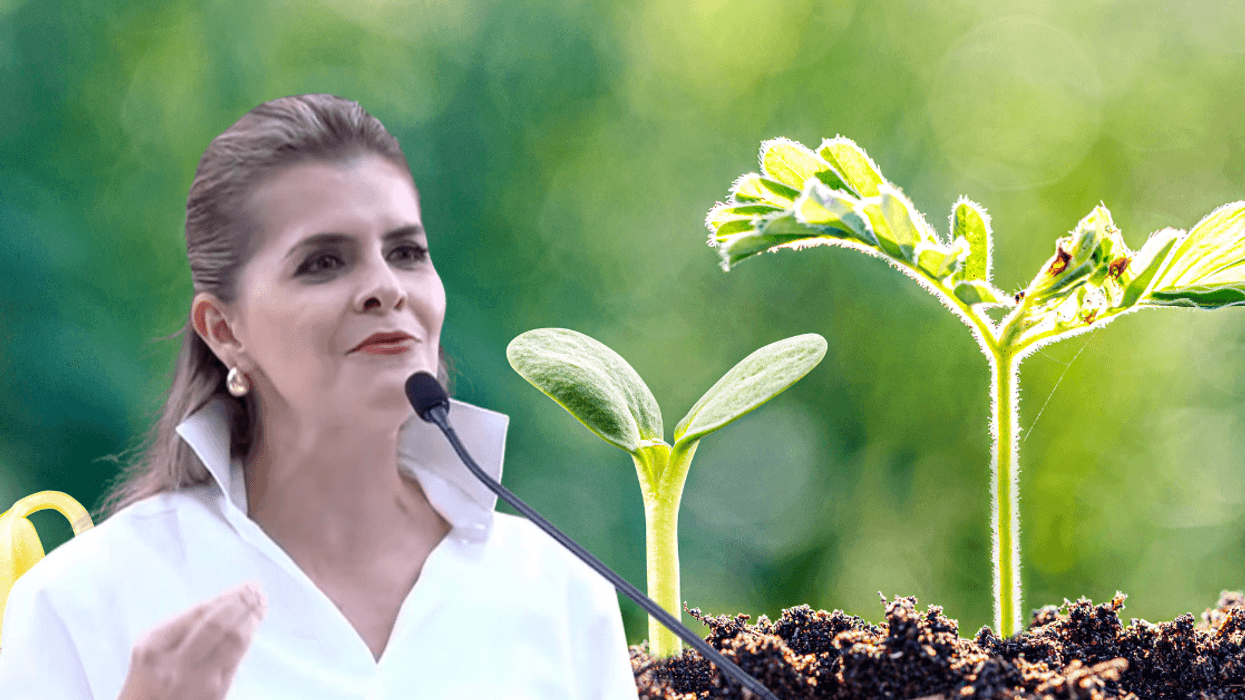Laura Fernández convoca a reunión para decidir sobre ingreso de Costa Rica a Acuerdo Transpacífico