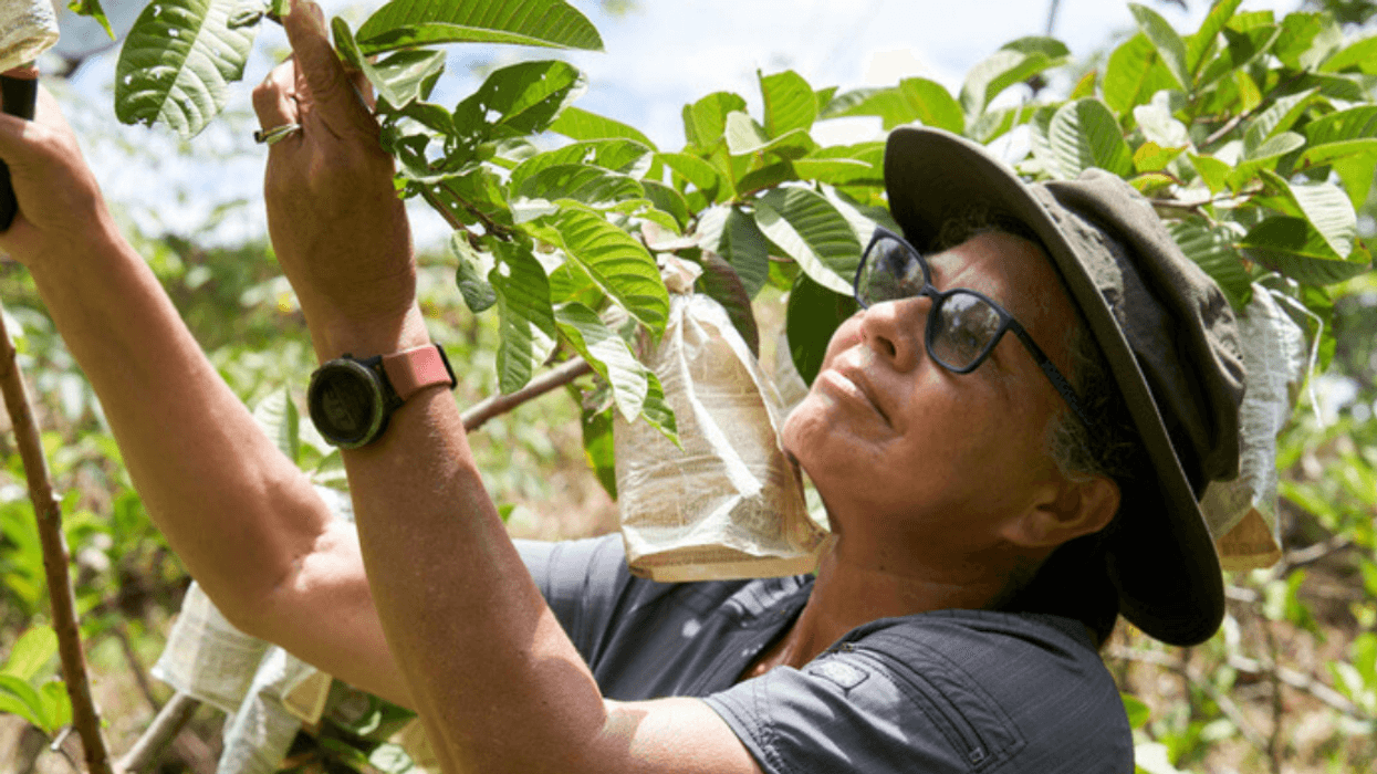 Agricultora costarricense es reconocida entre las 100 heroínas de la FAO