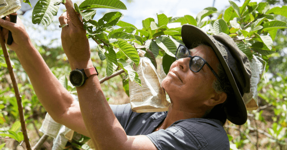 Agricultora costarricense es reconocida entre las 100 heroínas de la FAO