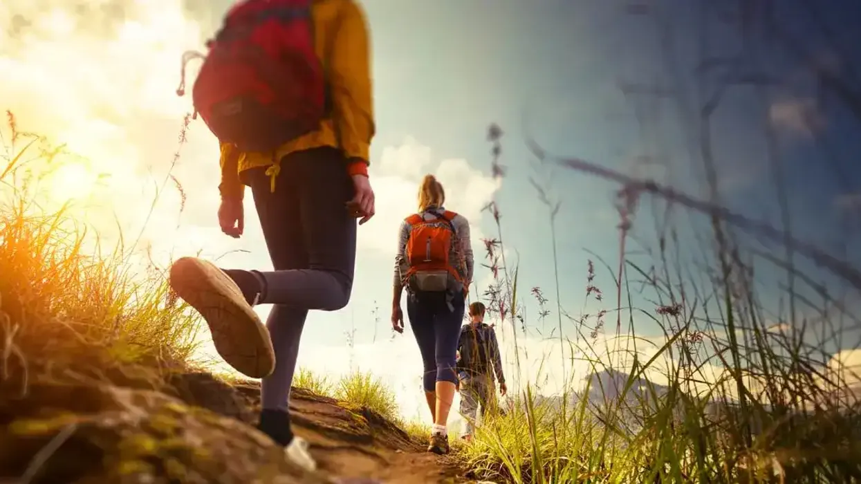 Las mejores rutas de hiking en Costa Rica