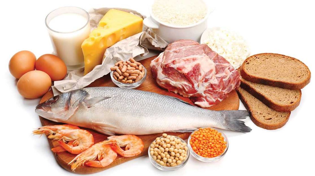 Proteínas, un aliado indispensable para su salud