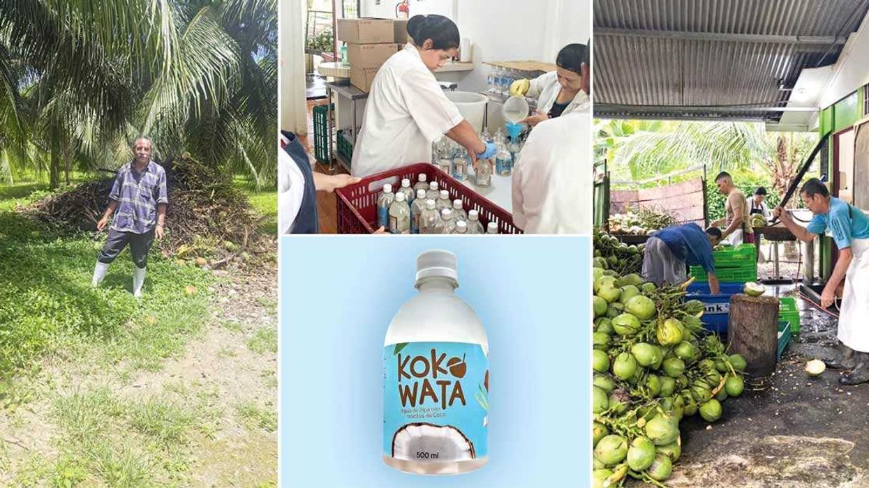 Pyme limonense convierte los residuos de coco en nuevos productos y apunta a la exportación