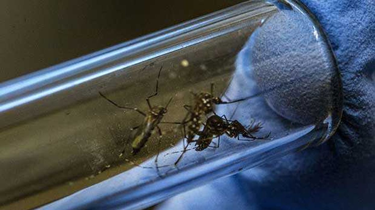 Salud reporta 20 embarazadas con zika