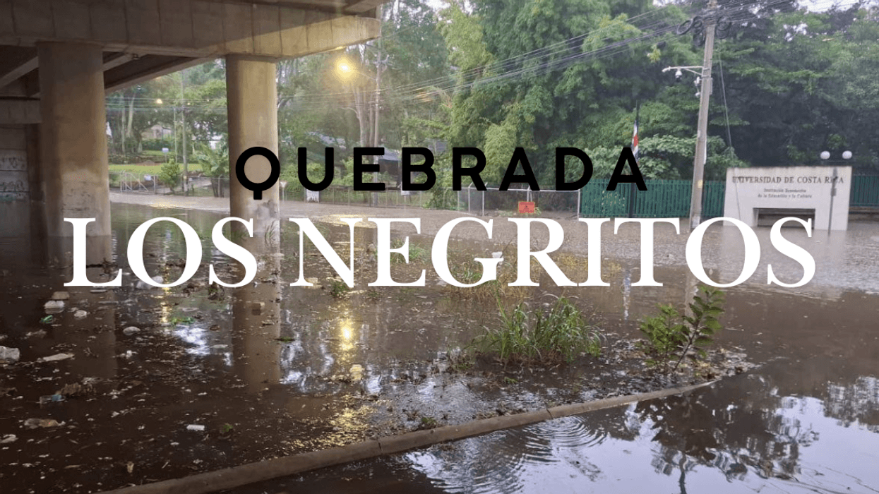 UCR y Municipalidades de Montes de Oca y San José unen esfuerzos para atender emergencia en quebrada Los Negritos