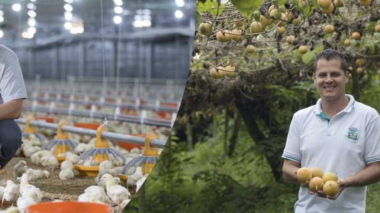 Walmart duplicará compras a productores nacionales