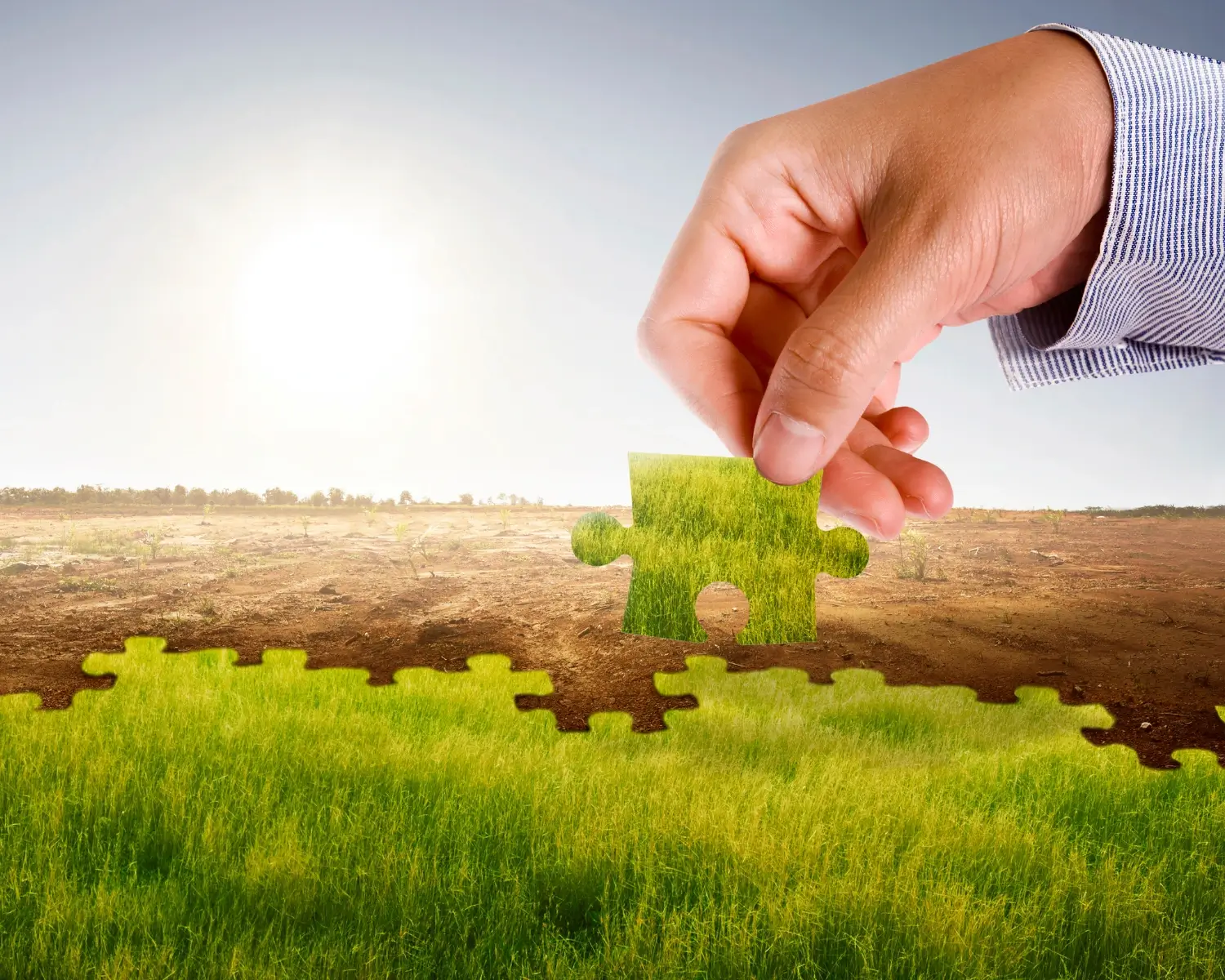 Día Int. Contra el Cambio Climático / Sostenibilidad