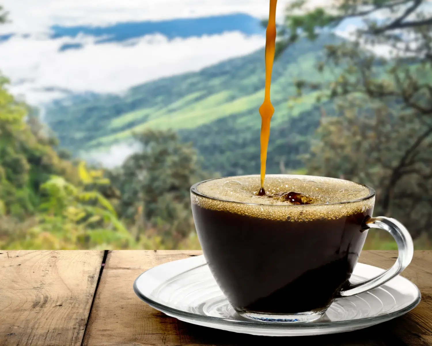 Día Int. del Café