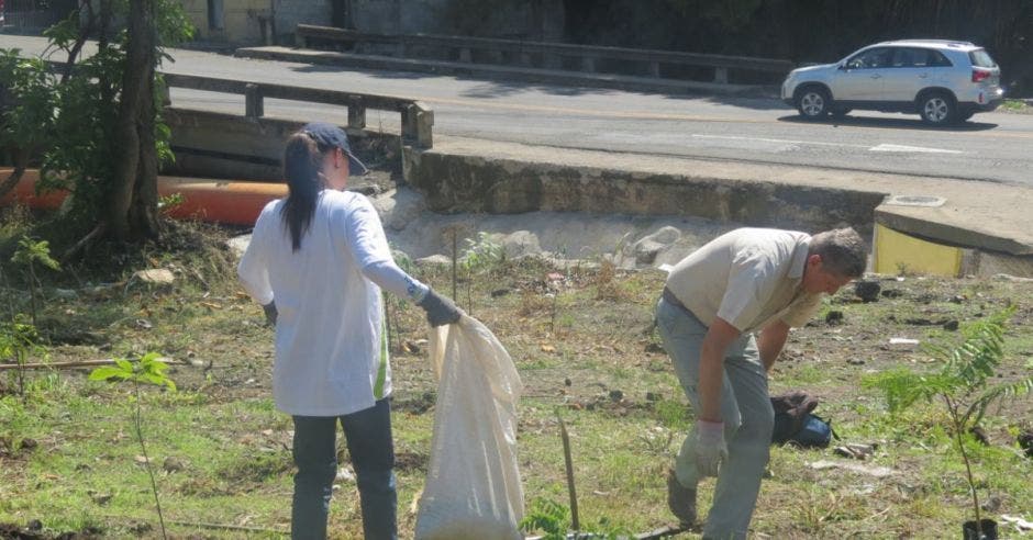 Voluntarios sembrando árboles