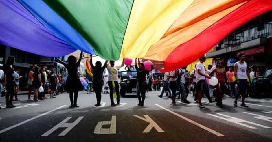 Bandera de la diversidad