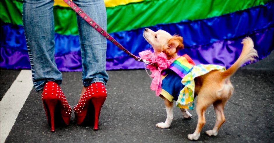 Un tránsgenero con tacones altos sostiene a su perro