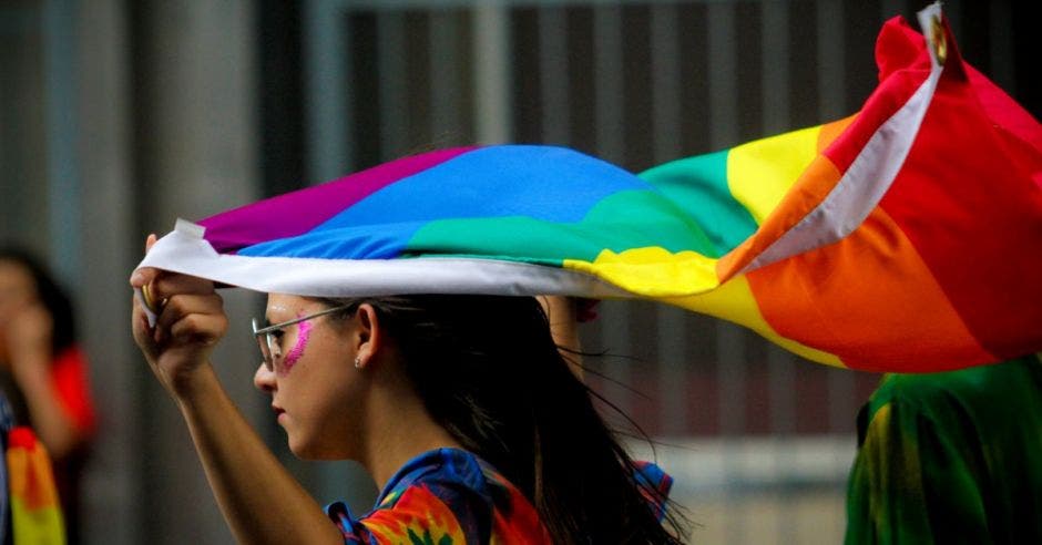 Muchacha con bandera de la diversidad