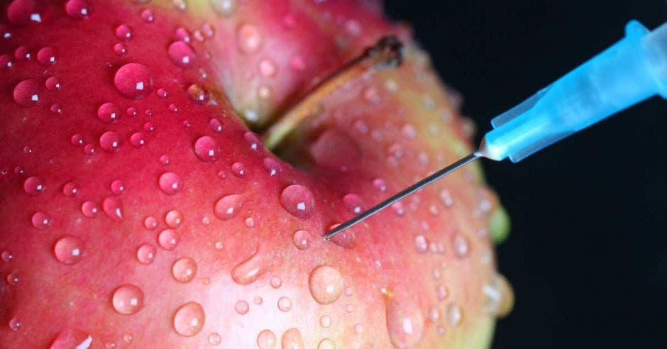 Una manzana es inyectada con material genético