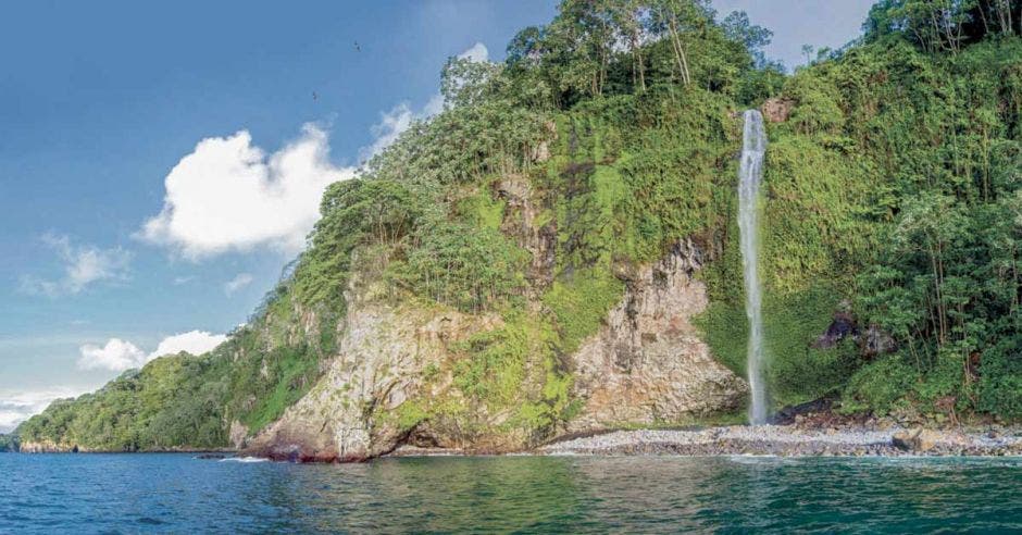 Ubicada a más de 500 kilómetros de la costa nacional, la Isla del Coco es un destino autóctono ideal para senderistas y buzos.