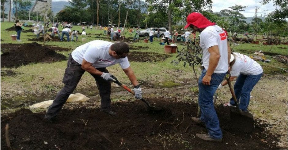 tres personas sembrando árboles