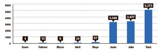 grafico