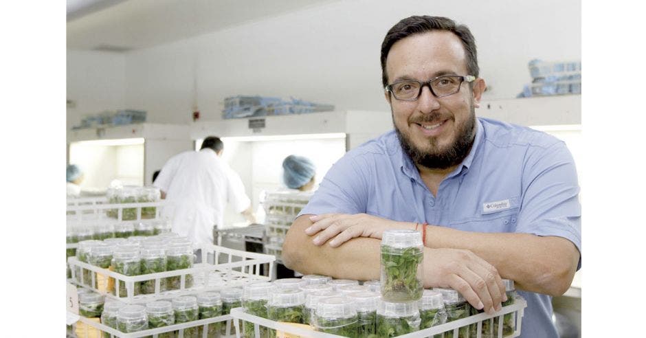 Fernando Alvarado, gerente general de Micro Plantas.