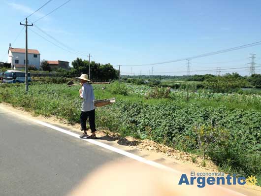 Granjero de Lijiawan en Hubei