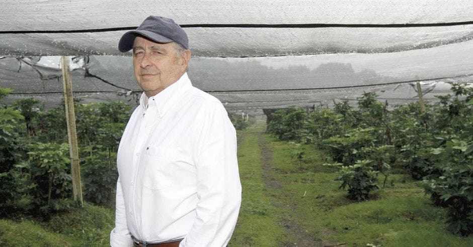 Juan Rafael Lizano, presidente de la Cámara de Agricultura y Agroindustria.