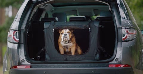 El transportador de mascotas plegable le dará la seguridad y comodidad a su mascota durante los viajes.