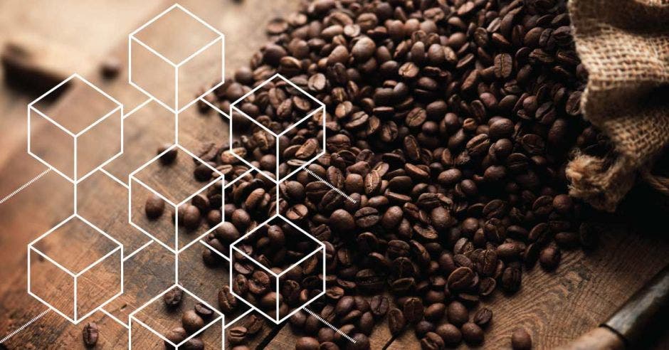 Imagen ilustrativa de blockchain y café