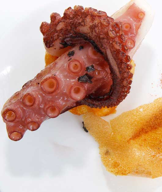 pulpo