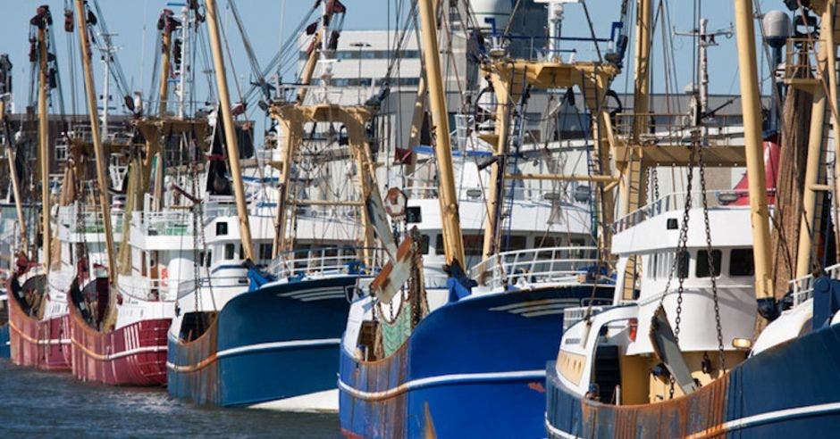 barcos pescadores