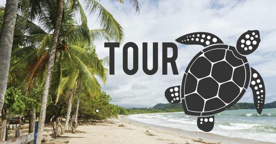 tour tortugas