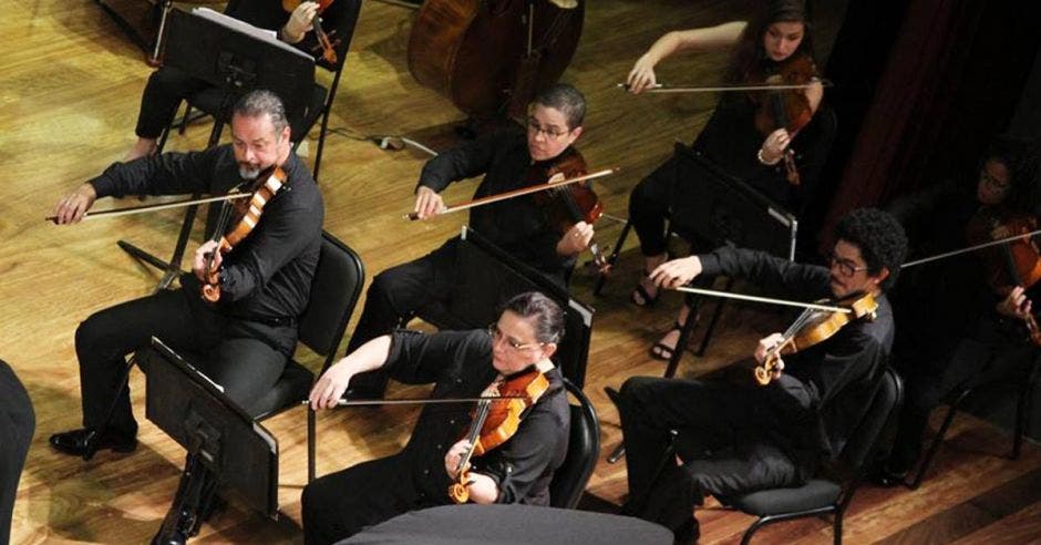 Varios violinistas de la orquesta en concierto