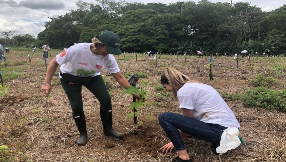 voluntariado