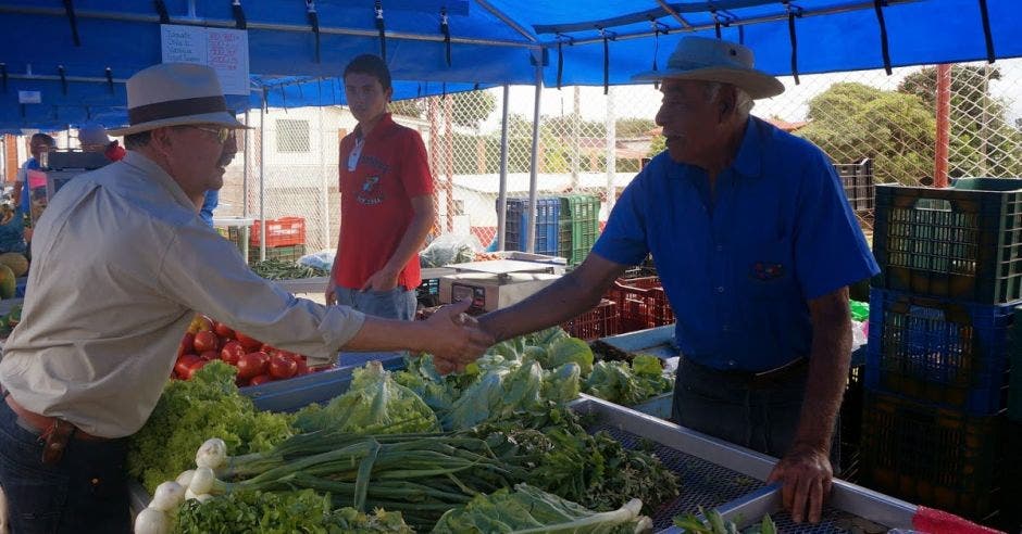 tramos de la feria del agricultor