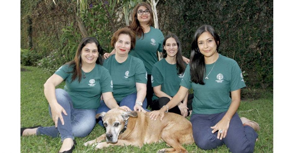 Humane Society International tiene su sede para América Latina en barrio Escalante, San José. Esteban Monge/La República