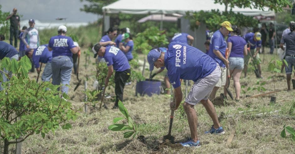 Voluntarios