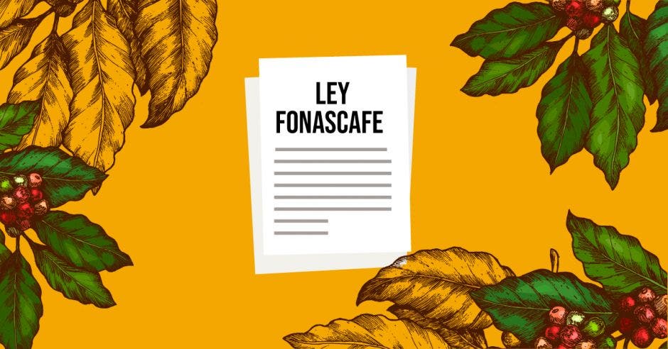 Documentos de la Ley Fonescafé sobre fondo amarillo rodeado de hojas de café.