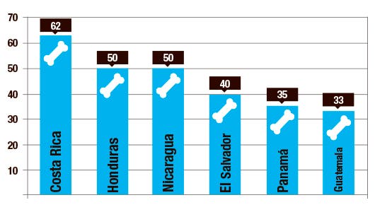 grafico