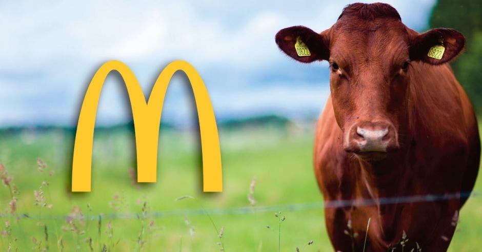 Una vaca color café junto al logo de McDonald's