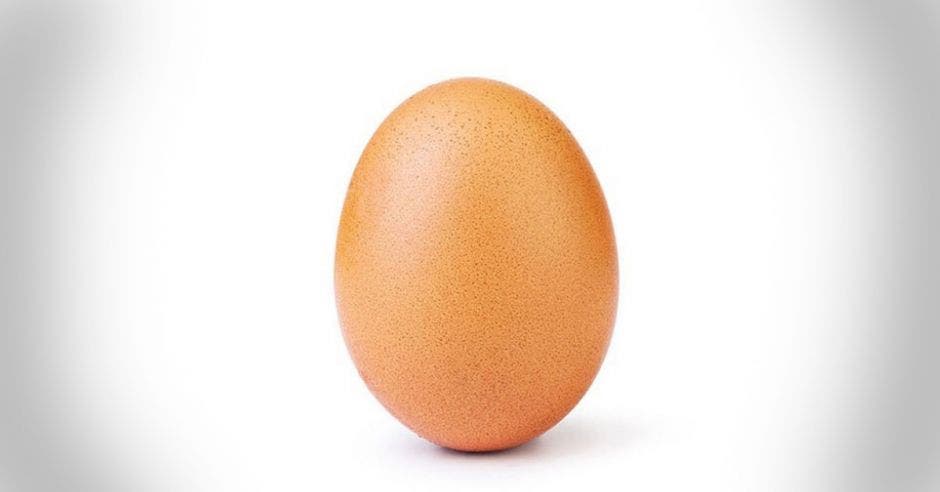 Un huevo de gallina color marrón