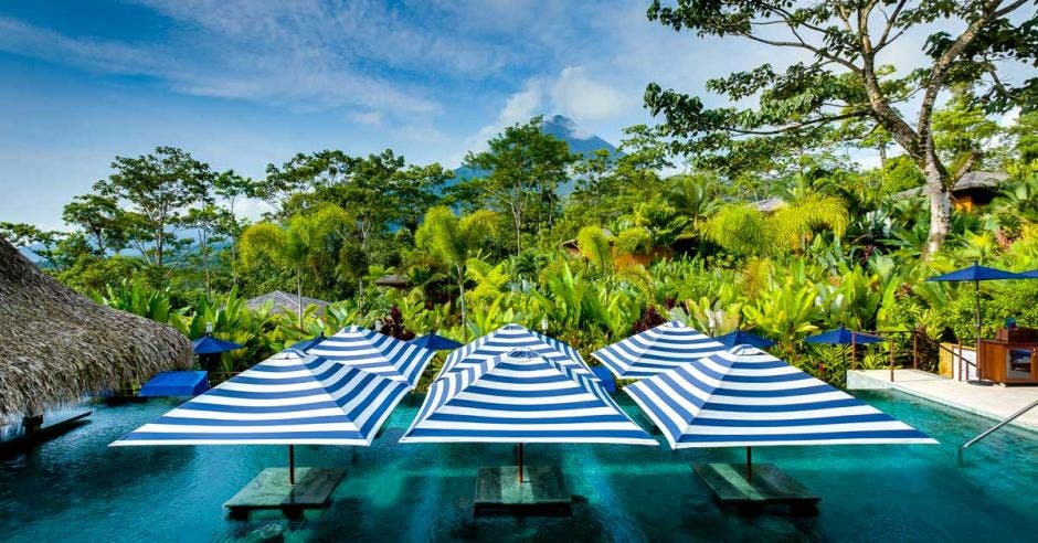 piscina con vista al bosque