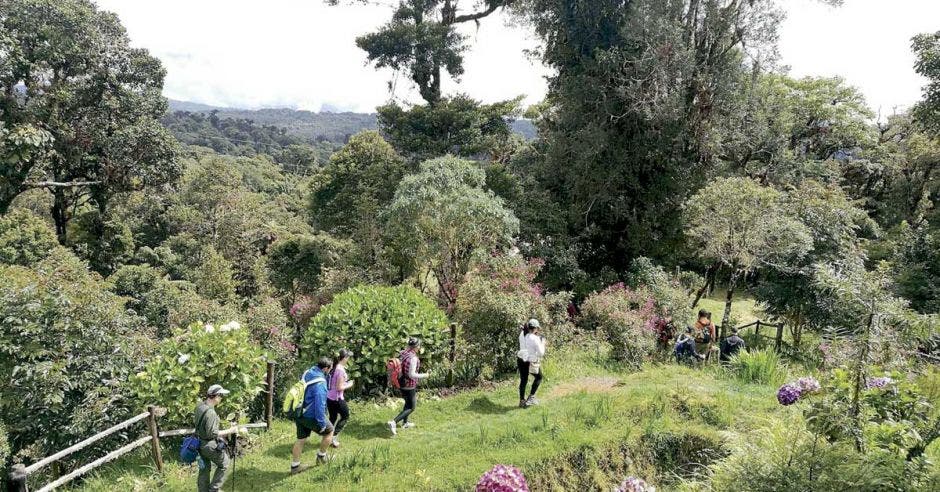 Un guía especializado podrá darle mayor información sobre las plantas y aves de la región. Cortesía Iyok Ami/La República